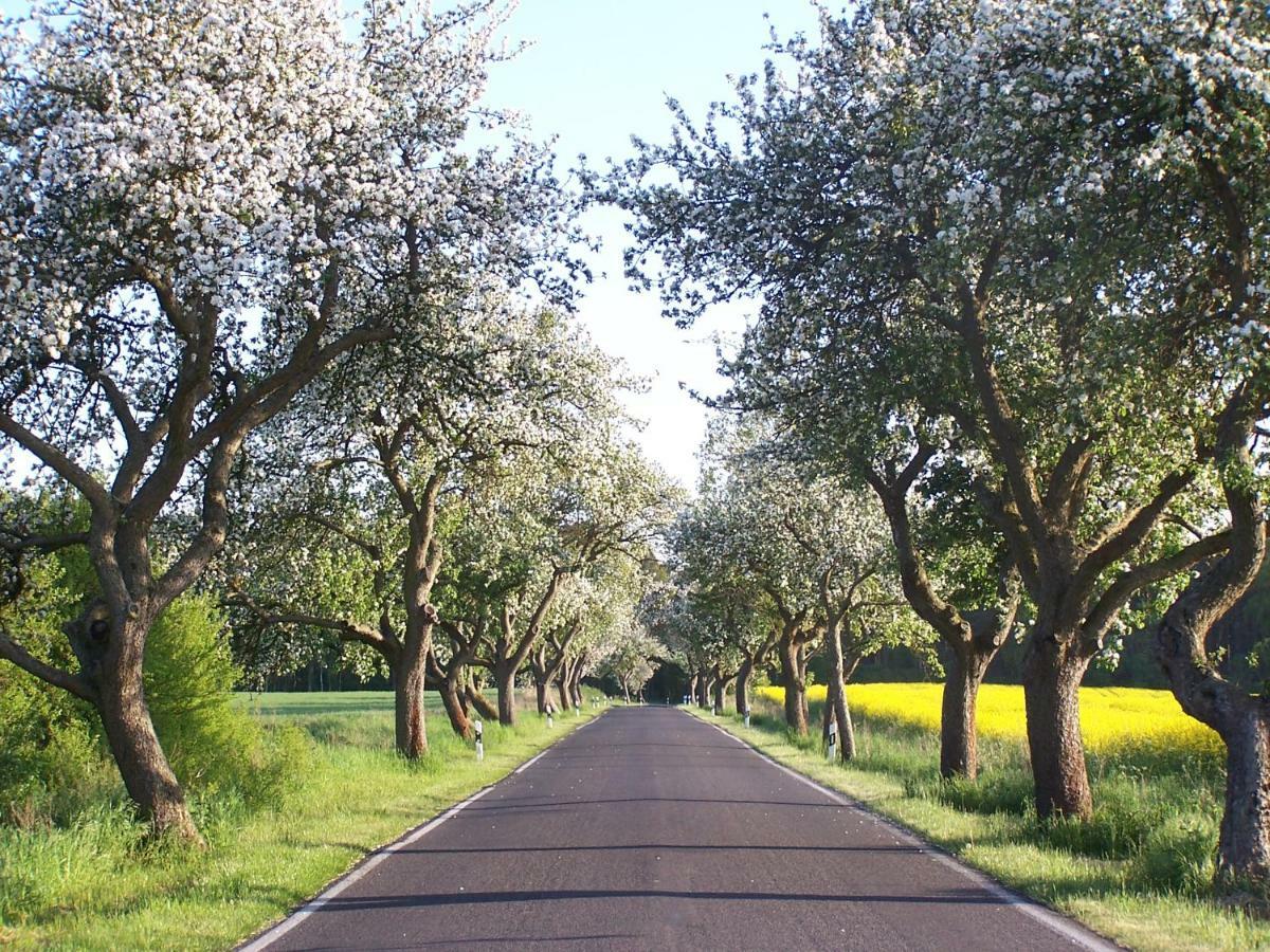 Ferien In Himmelpfort Ngoại thất bức ảnh